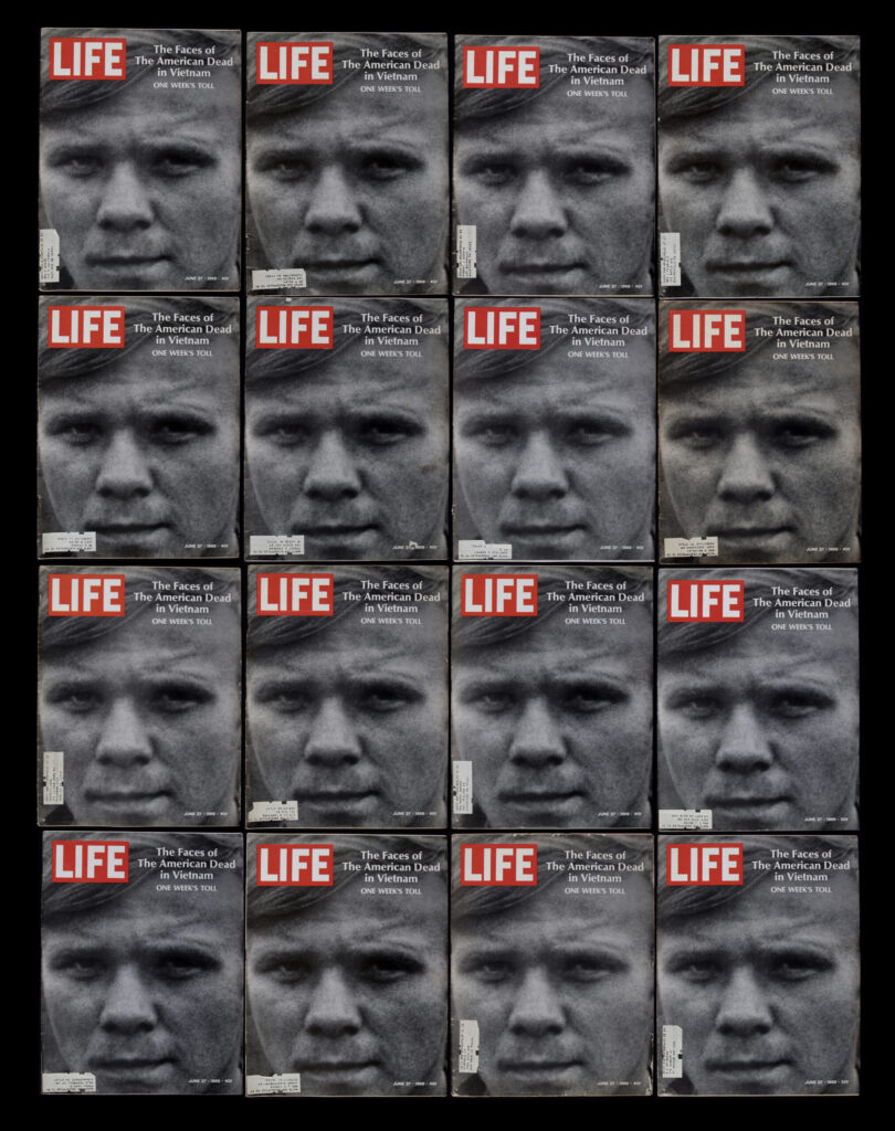 04_Swamp version LIFE cover