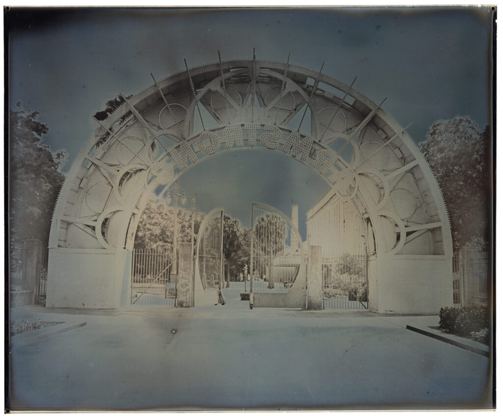 10x12_NoLa_Gilded37 copy