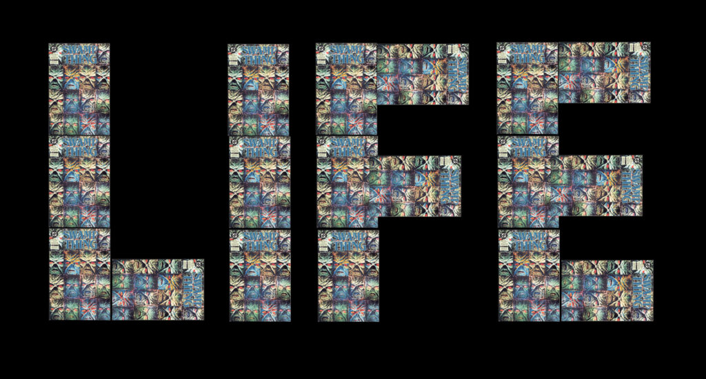 25_Swamp in Life small