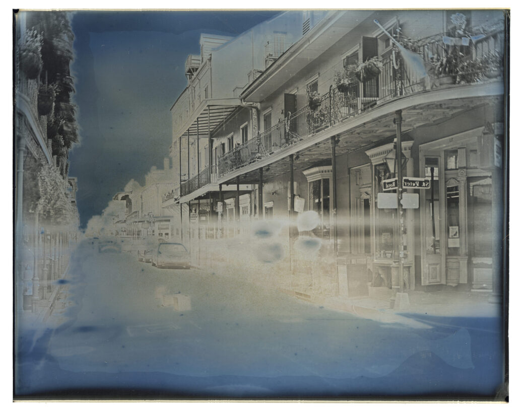 Nola_8x10_gilded02 copy